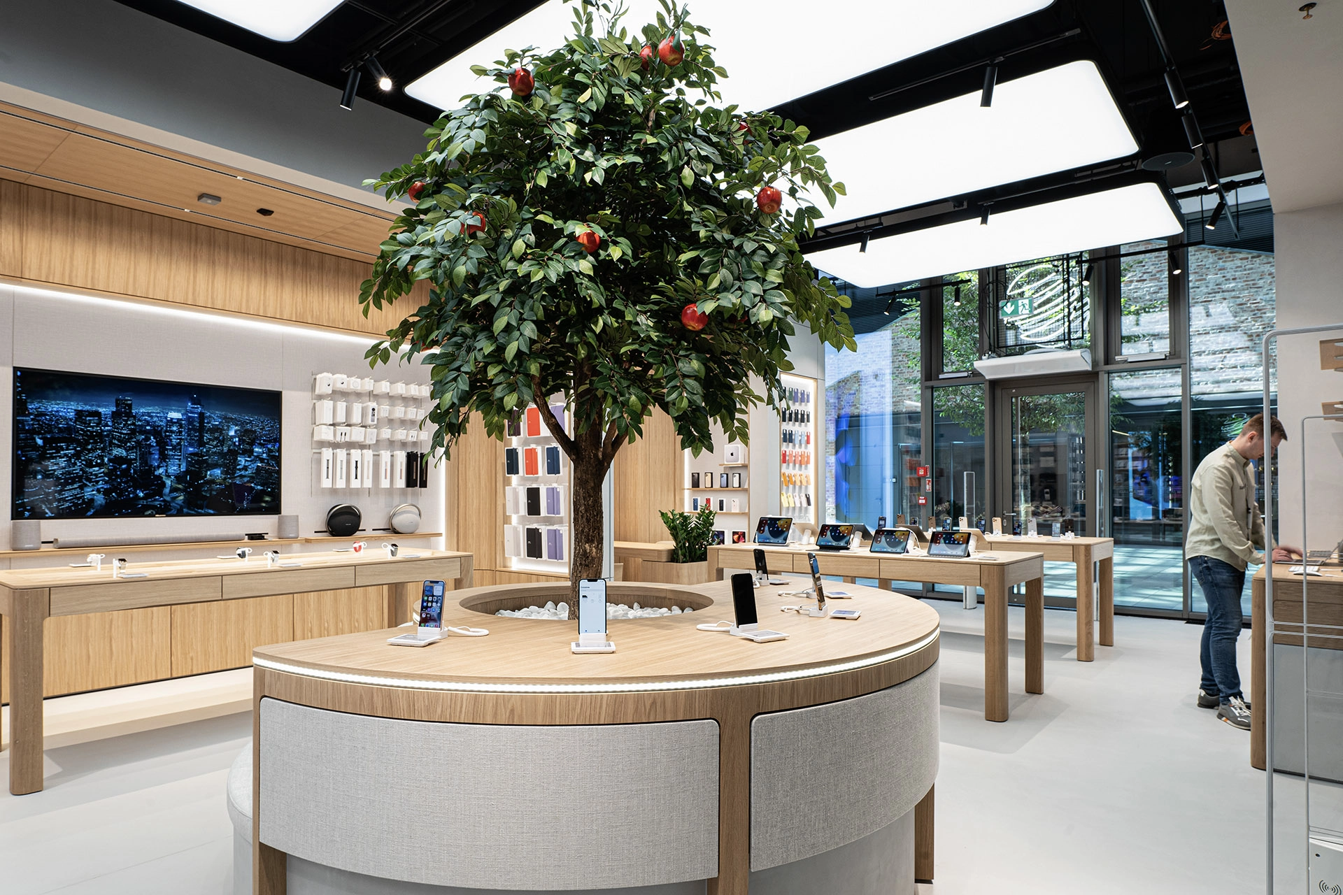 Zdjęcie-2